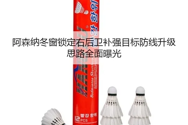 阿森纳冬窗锁定右后卫补强目标防线升级思路全面曝光